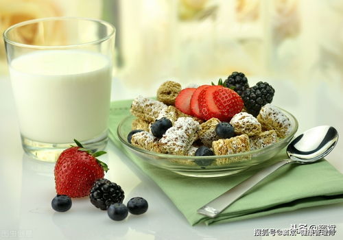 健康管理的核心 超越保健品，聚焦科學餐飲管理